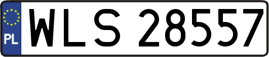WLS28557