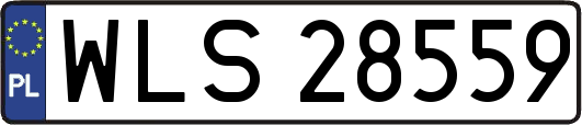 WLS28559