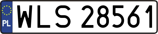 WLS28561