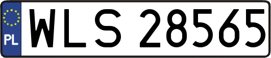 WLS28565