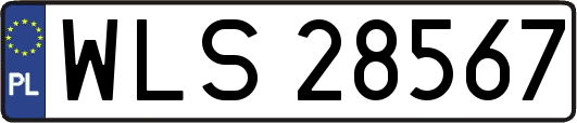 WLS28567