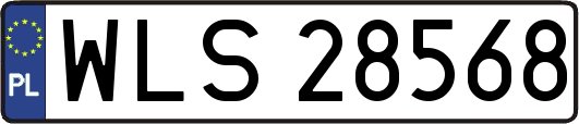 WLS28568