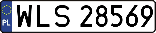 WLS28569