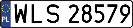 WLS28579