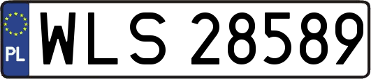 WLS28589