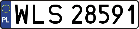 WLS28591