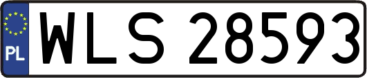 WLS28593