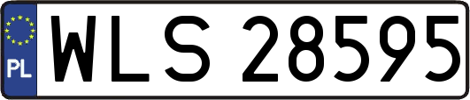 WLS28595