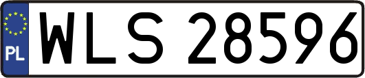 WLS28596