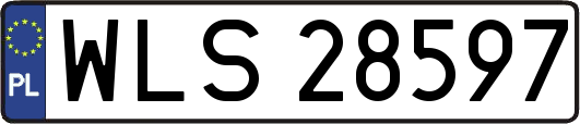 WLS28597