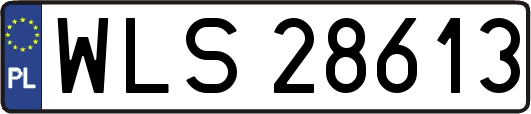 WLS28613