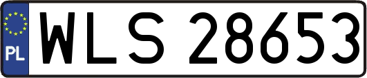 WLS28653