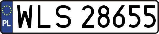WLS28655