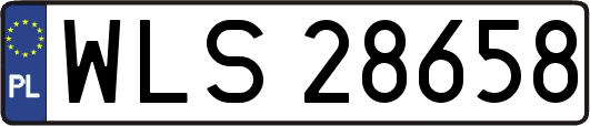 WLS28658