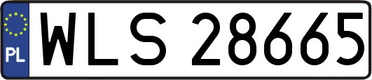 WLS28665