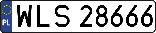 WLS28666