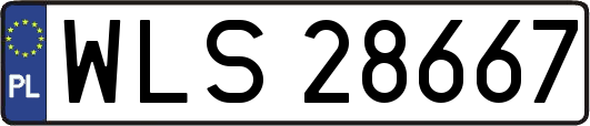 WLS28667