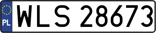WLS28673