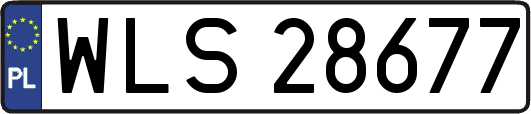 WLS28677