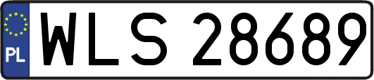 WLS28689