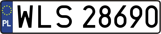 WLS28690