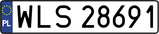WLS28691