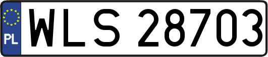 WLS28703