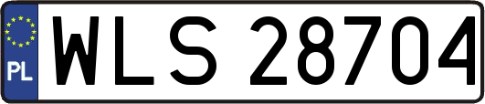 WLS28704