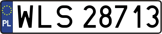 WLS28713