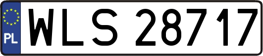 WLS28717