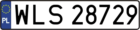 WLS28729
