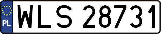 WLS28731