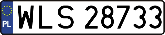 WLS28733