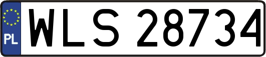 WLS28734
