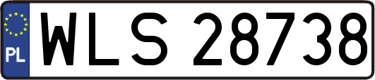 WLS28738