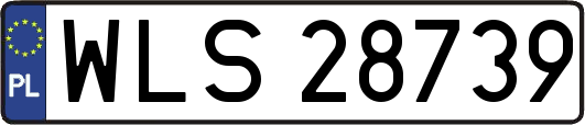 WLS28739