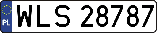 WLS28787