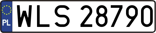 WLS28790
