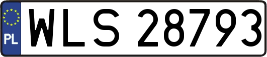 WLS28793