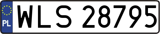 WLS28795