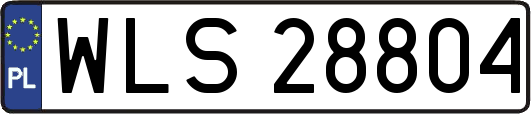 WLS28804