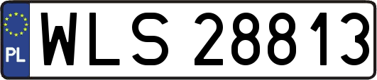 WLS28813