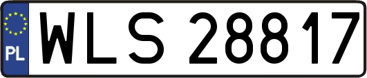 WLS28817
