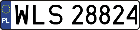 WLS28824