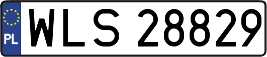 WLS28829