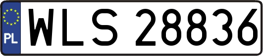 WLS28836