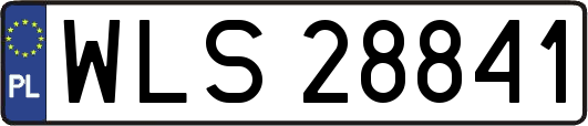 WLS28841