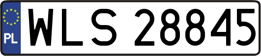 WLS28845
