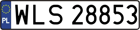 WLS28853