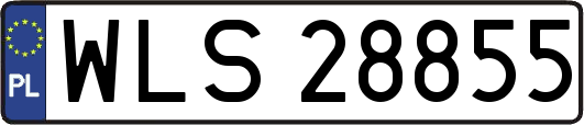 WLS28855
